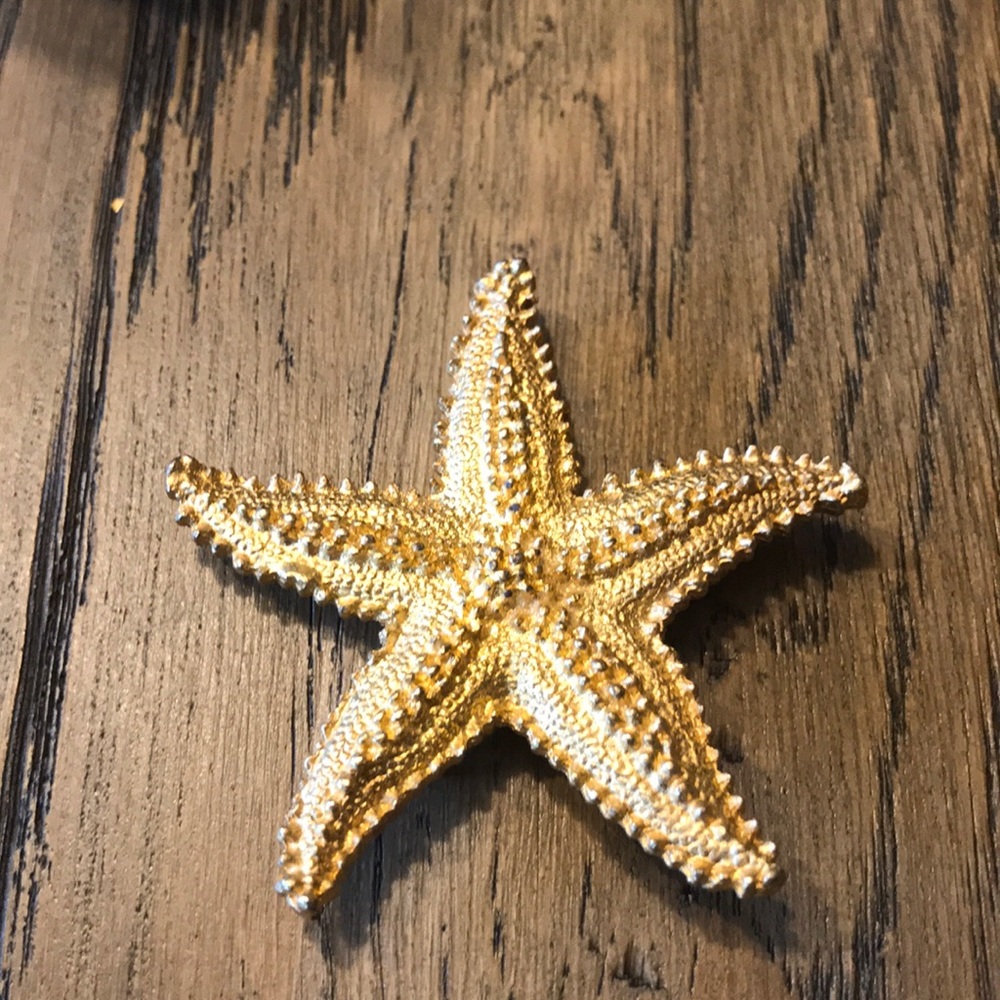 Retro Heavy starfish brooch pin pendant